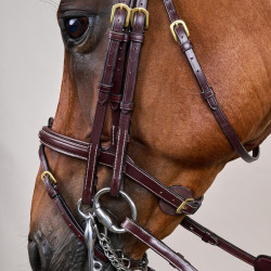 Trense Kombinierter Reithalfter D Collection by Dy'on Braun