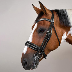 Trense Nasenriemen Large Mat Working By Dy'on Schwarz