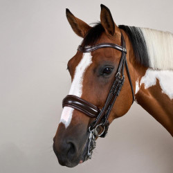 Trense Nasenriemen Large Mat Working By Dy'on Braun Trense Nasenriemen Large Mat Working By Dy'on Braun