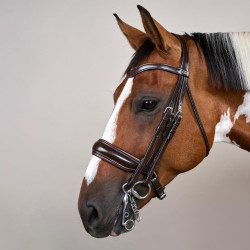 Trense Nasenriemen Large Mat Working By Dy'on Braun Trense Nasenriemen Large Mat Working By Dy'on Braun