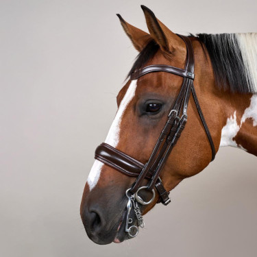 Trense Nasenriemen Large Mat Working By Dy'on Braun Trense Nasenriemen Large Mat Working By Dy'on Braun