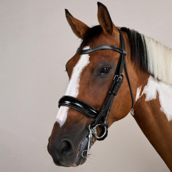 Trense Nasenriemen Groß Lackiert Working By Dy'on Schwarz