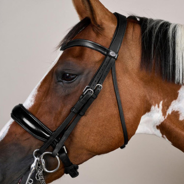 Trense Nasenriemen Groß Lackiert Working By Dy'on Schwarz