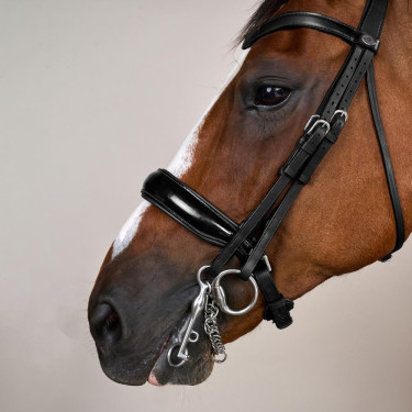 Trense Nasenriemen Groß Lackiert Working By Dy'on Schwarz