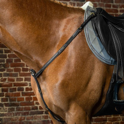 Brustblatt D Collection by Dy'on Schwarz