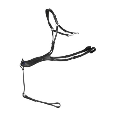 Anatomisches Martingal New English Collection by Dy'on Schwarz