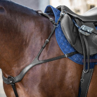 Anatomisches Martingal New English Collection by Dy'on Schwarz Anatomisches Martingal New English Collection by Dy'on Schwarz