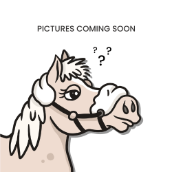 Martingal mit Ringen US Collection by Dy'on Schwarz