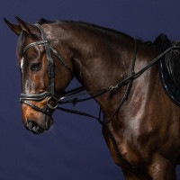 Hilfszügel Howlett Working By Dy'on Schwarz