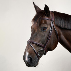 Kombiniertes Reithalfter Bridon Dy'on New English Collection Braun