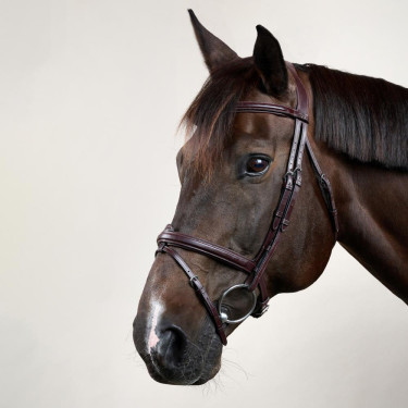 Kombiniertes Reithalfter Bridon Dy'on New English Collection Braun