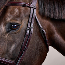 Kombiniertes Reithalfter Bridon Dy'on New English Collection Braun