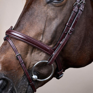 Kombiniertes Reithalfter Bridon Dy'on New English Collection Braun