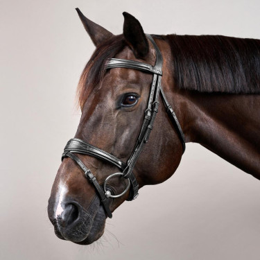 Kombinierte Reithalfter-Trense Anatomisch Dy'on New English Collection Schwarz