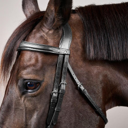 Kombinierte Reithalfter-Trense Anatomisch Dy'on New English Collection Schwarz