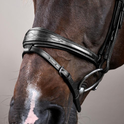 Kombinierte Reithalfter-Trense Anatomisch Dy'on New English Collection Schwarz