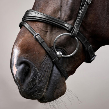 Kombinierte Reithalfter-Trense Anatomisch Dy'on New English Collection Schwarz