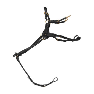 Fünfpunktbrustblatt mit Elastik D Collection Dy'on Schwarz