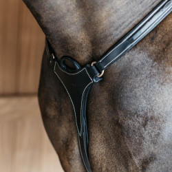 Fünfpunktbrustblatt mit Elastik D Collection Dy'on Schwarz