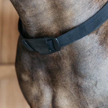 Elastischer Vorderzeug New English Collection Dy'on Schwarz Elastischer Vorderzeug New English Collection Dy'on Schwarz