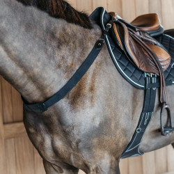 Elastischer Vorderzeug New English Collection Dy'on Schwarz Elastischer Vorderzeug New English Collection Dy'on Schwarz