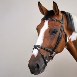 Kombinierter Reithalfter-Zaum mit Karabinerhaken Working by Dy'on Schwarz Kombinierter Reithalfter-Zaum mit Karabinerhaken Working by Dy'on Schwarz