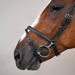 Kombinierter Reithalfter-Zaum mit Karabinerhaken Working by Dy'on Schwarz Kombinierter Reithalfter-Zaum mit Karabinerhaken Working by Dy'on Schwarz