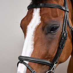 Kombinierter Reithalfter-Zaum mit Karabinerhaken Working by Dy'on Schwarz Kombinierter Reithalfter-Zaum mit Karabinerhaken Working by Dy'on Schwarz