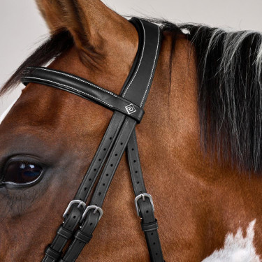 Kombinierter Reithalfter-Zaum mit Karabinerhaken Working by Dy'on Schwarz Kombinierter Reithalfter-Zaum mit Karabinerhaken Working by Dy'on Schwarz