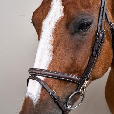 Kombinierter Reithalfter-Zaum mit Karabinerhaken Working by Dy'on Braun Kombinierter Reithalfter-Zaum mit Karabinerhaken Working by Dy'on Braun