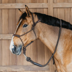 **Ethologisches Halfter Dy'on** Braun