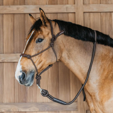 **Ethologisches Halfter Dy'on** Braun