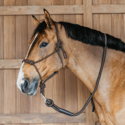 Dy'on Longierleine mit Karabinerhaken Braun