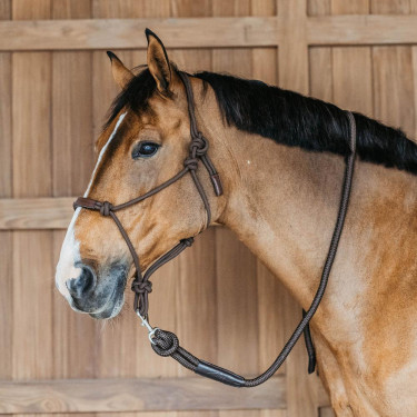 Dy'on Longierleine mit Karabinerhaken Braun