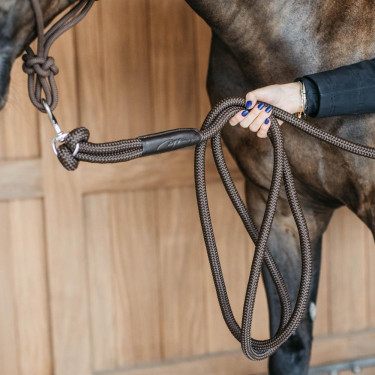 Trainingslonge Dy'on mit Karabinerhaken Braun