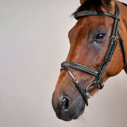 Bridon Dy'on D Collection kombiniertes geflochtenes Reithalfter Schwarz