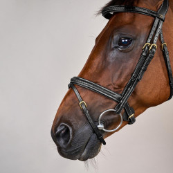 Bridon Dy'on D Collection kombiniertes geflochtenes Reithalfter Schwarz