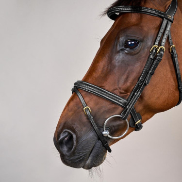 Bridon Dy'on D Collection kombiniertes geflochtenes Reithalfter Schwarz