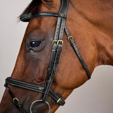 Bridon Dy'on D Collection kombiniertes geflochtenes Reithalfter Schwarz