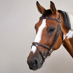 Trense Working by Dy'on kombiniert mit Reithalfter und Karabinern Braun