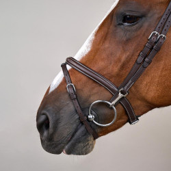 Trense Working by Dy'on kombiniert mit Reithalfter und Karabinern Braun