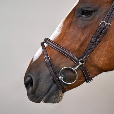 Trense Working by Dy'on kombiniert mit Reithalfter und Karabinern Braun