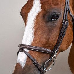 Trense Working by Dy'on kombiniert mit Reithalfter und Karabinern Braun