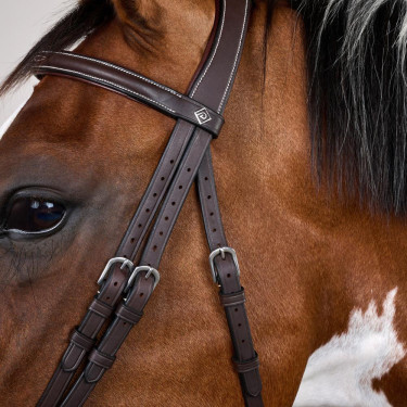 Trense Working by Dy'on kombiniert mit Reithalfter und Karabinern Braun