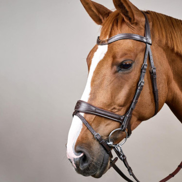 Trense Working by Dy'on mit Bewegungsfreiheit Braun