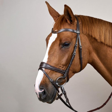 Trense Working by Dy'on mit Bewegungsfreiheit Braun