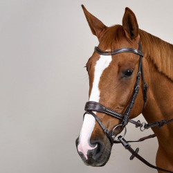 Trense Working by Dy'on mit Bewegungsfreiheit Braun