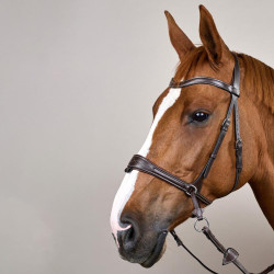 Trense Working by Dy'on mit Bewegungsfreiheit Braun