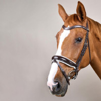 Trense Working by Dy'on Kombinierte Reithalfter Breit Lackiert Weiße Unterlegung Schwarz