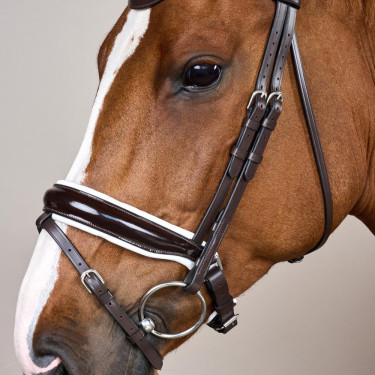 Trense Working by Dy'on Kombinierte Reithalfter Breit Lackiert Weiße Unterlegung Braun
